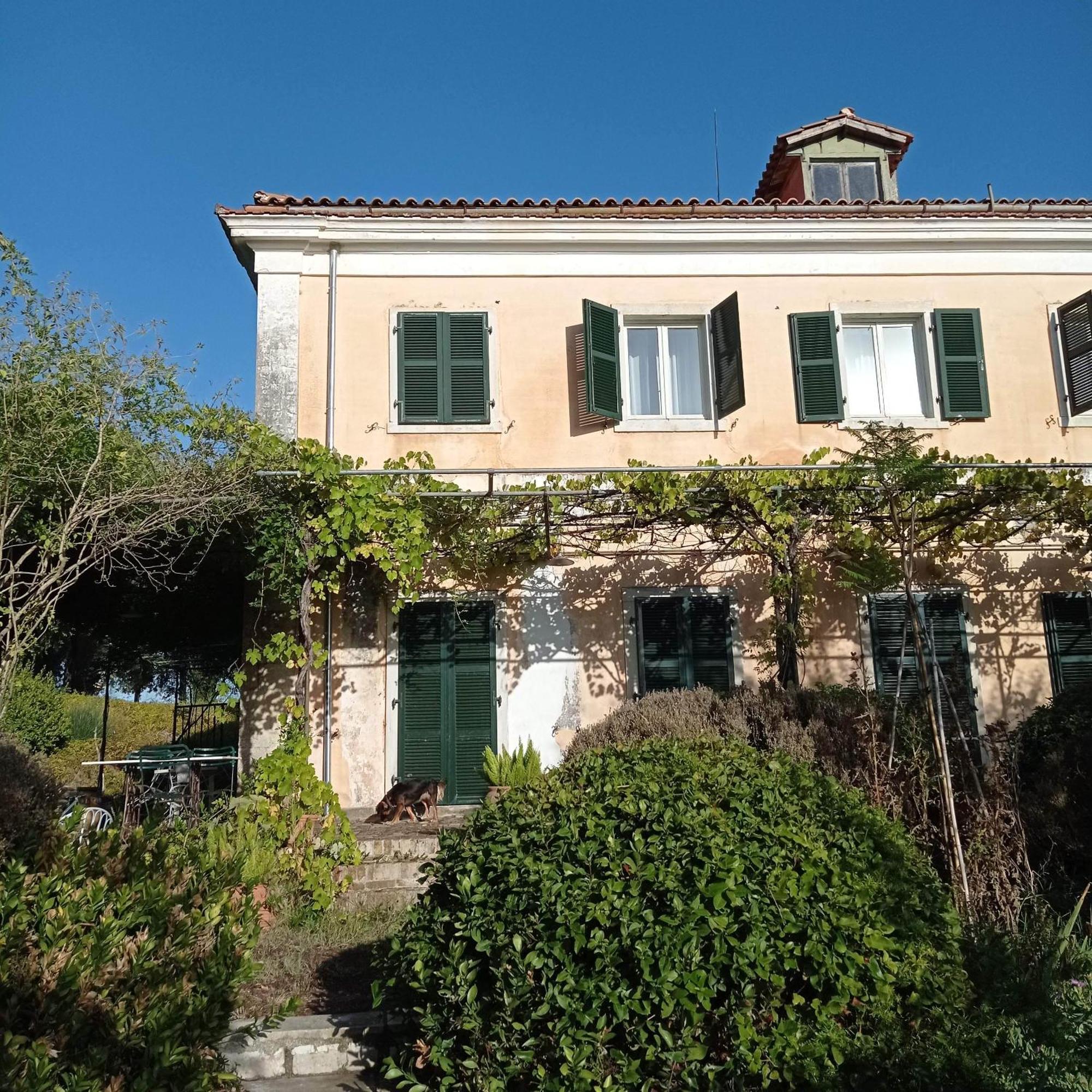 Alepou Villa Kefalomandouko מראה חיצוני תמונה